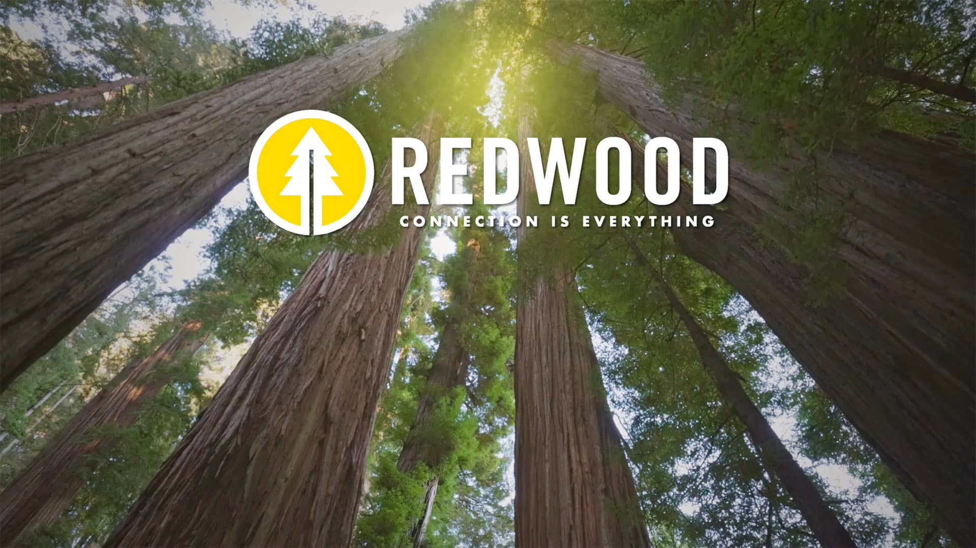 Growing Your Business with Redwood